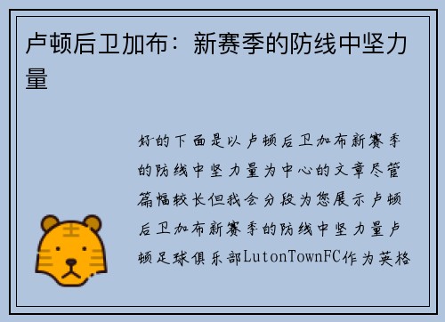 卢顿后卫加布：新赛季的防线中坚力量