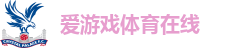 爱游戏(aiyouxi)中国官方网站|AYX SPORTS